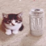 Arnošt  Skýba - Lyže